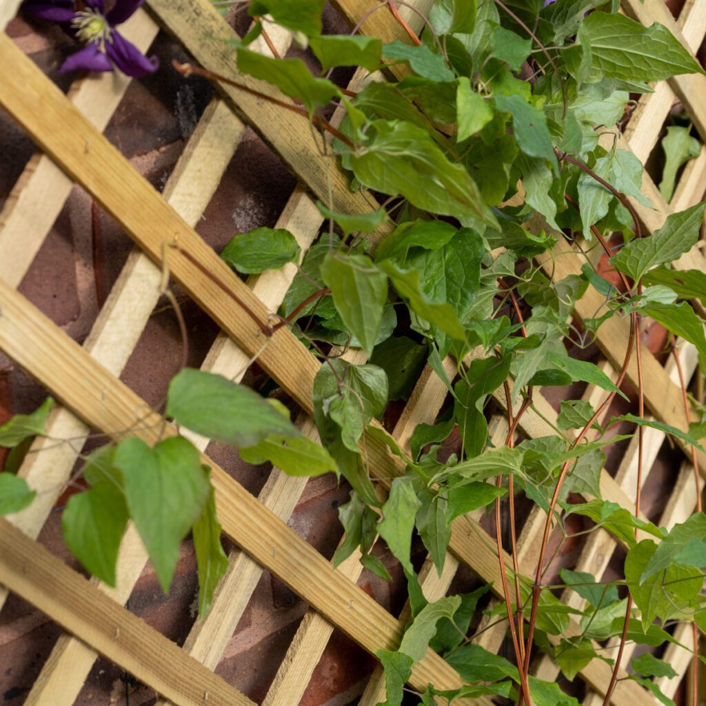 Forest Garden Trellis Planter 5013053190616 2
